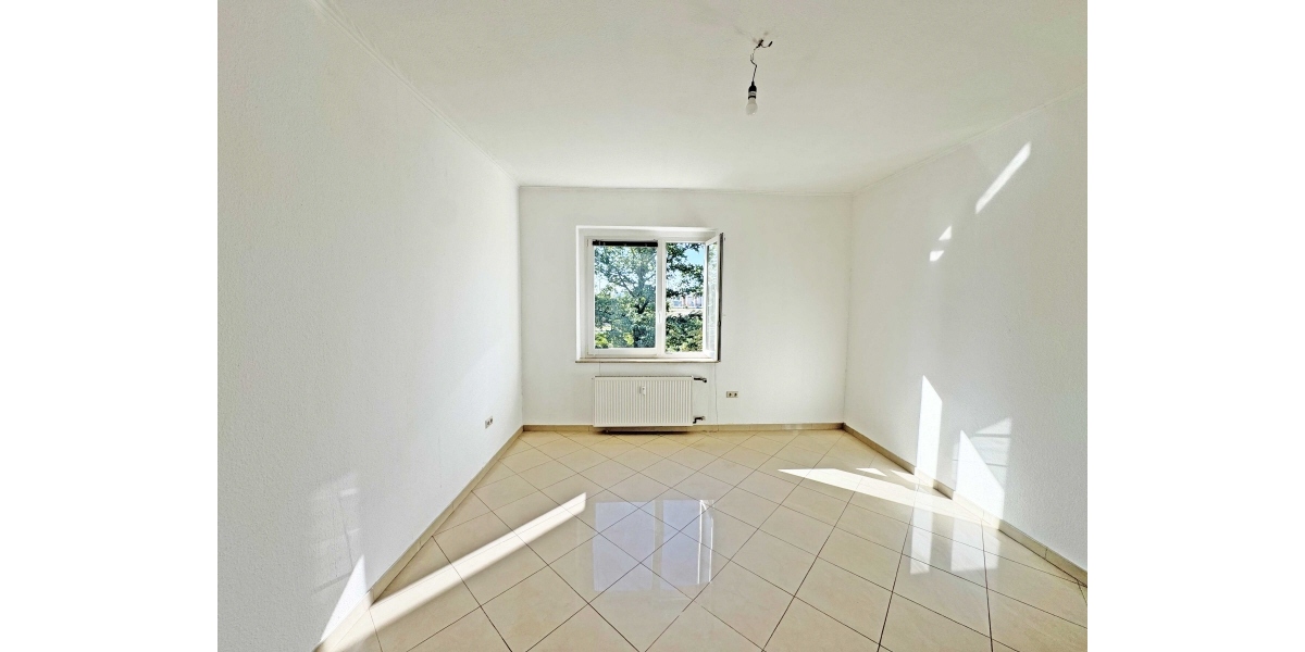 Zimmer-2